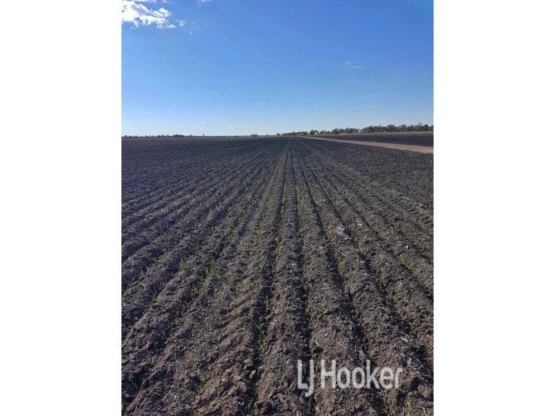 Goondiwindi QLD 4390