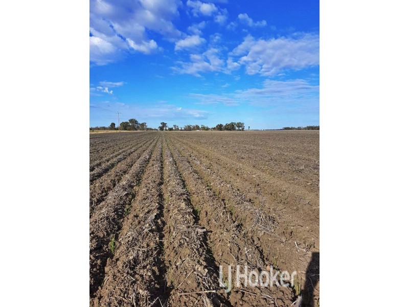 Goondiwindi QLD 4390