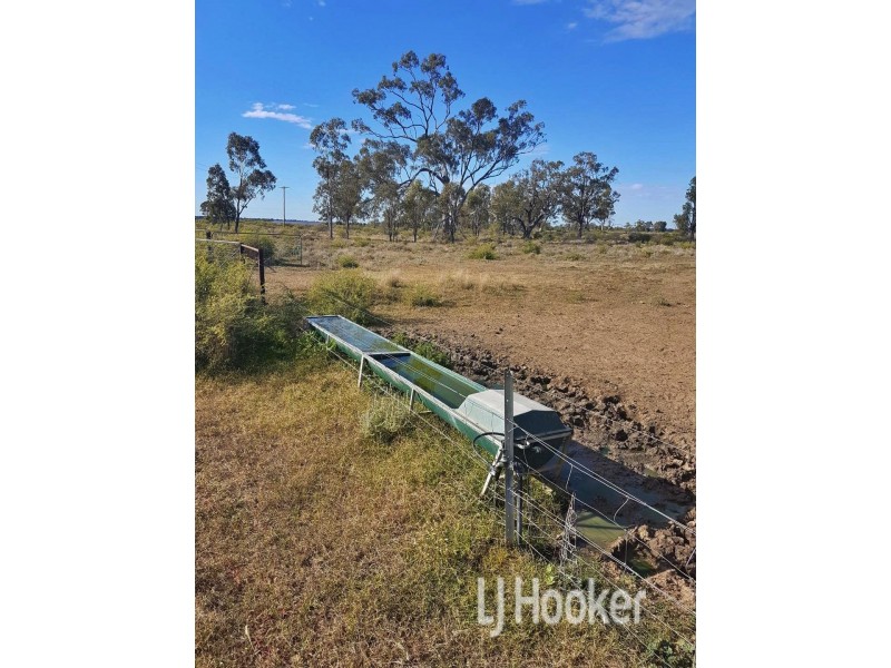 Goondiwindi QLD 4390