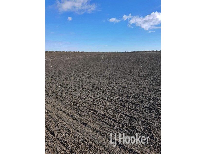 Goondiwindi QLD 4390