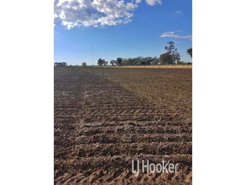 Goondiwindi QLD 4390