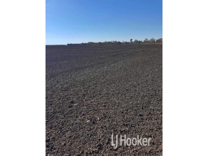 Goondiwindi QLD 4390