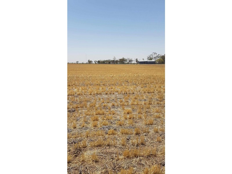 Goondiwindi QLD 4390