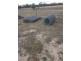 1067 Boomi Rd, Goondiwindi QLD 4390