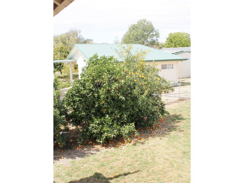 156 Marshall Street, Goondiwindi QLD 4390