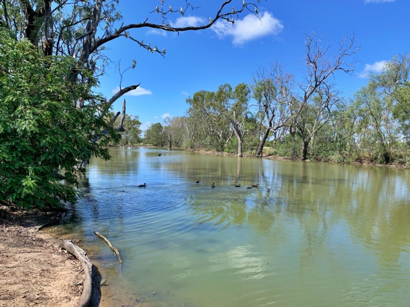 Goondiwindi QLD 4390