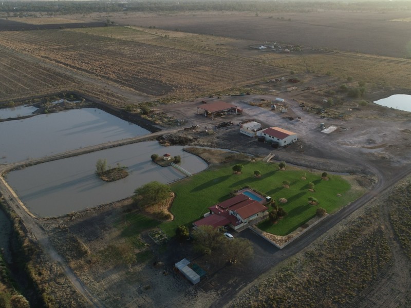 Goondiwindi QLD 4390