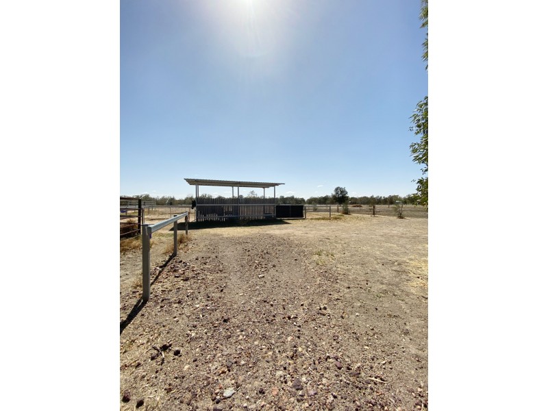 16 Glenoak Rd, Goondiwindi QLD 4390