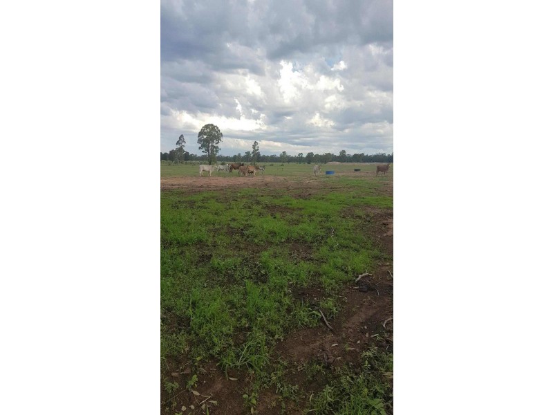 Goondiwindi QLD 4390