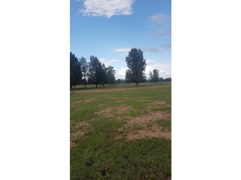 Goondiwindi QLD 4390