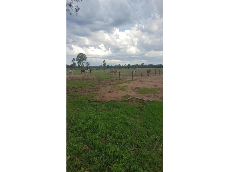 Goondiwindi QLD 4390