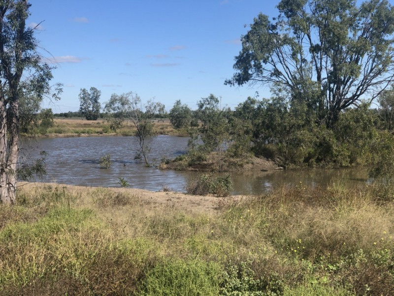 Goondiwindi QLD 4390