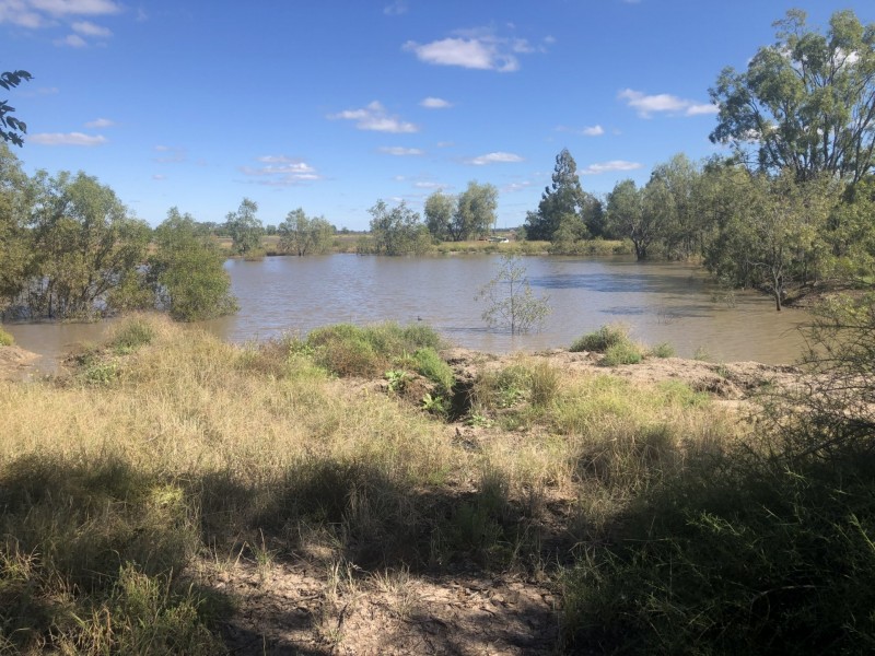 Goondiwindi QLD 4390