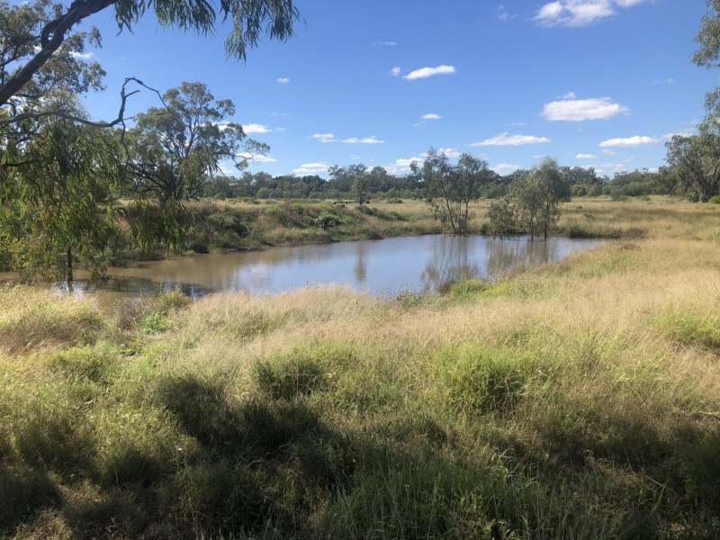 Goondiwindi QLD 4390