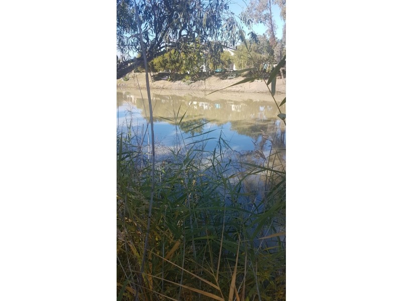 Goondiwindi QLD 4390