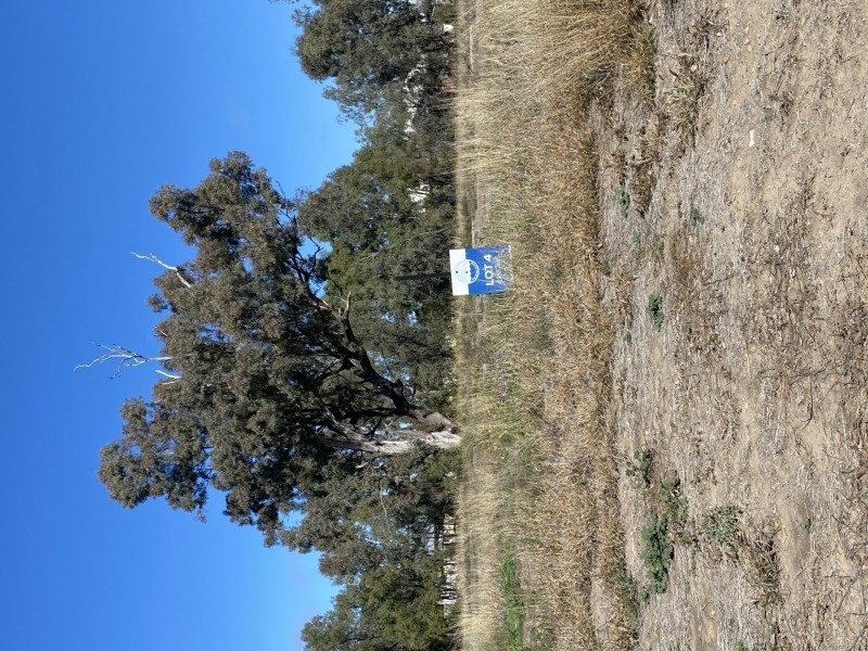 Goondiwindi QLD 4390