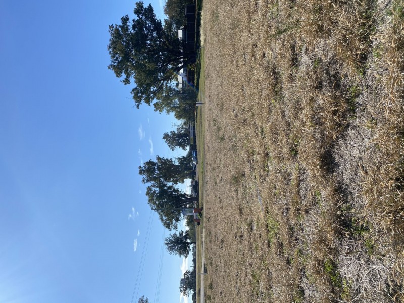 Goondiwindi QLD 4390