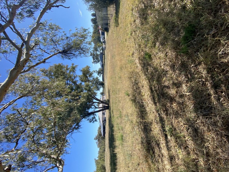 Goondiwindi QLD 4390