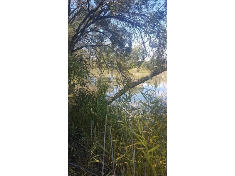 Goondiwindi QLD 4390