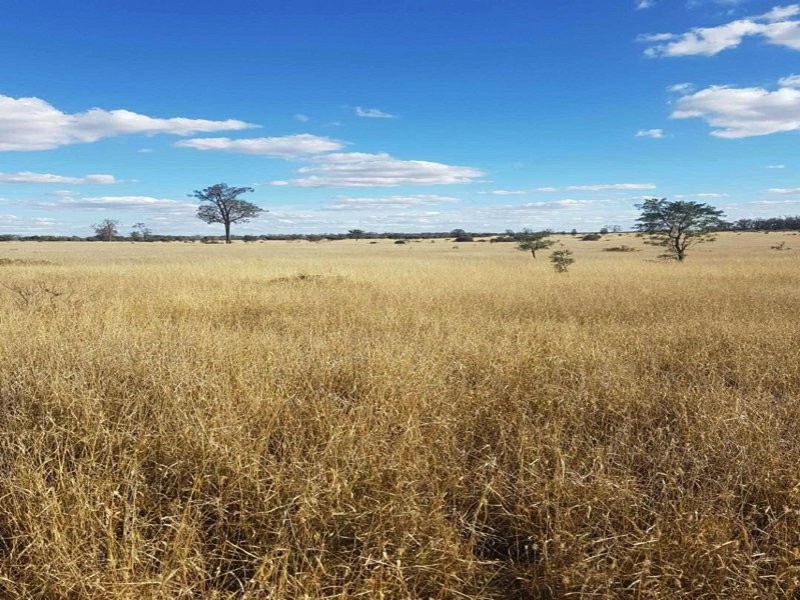 Goondiwindi QLD 4390