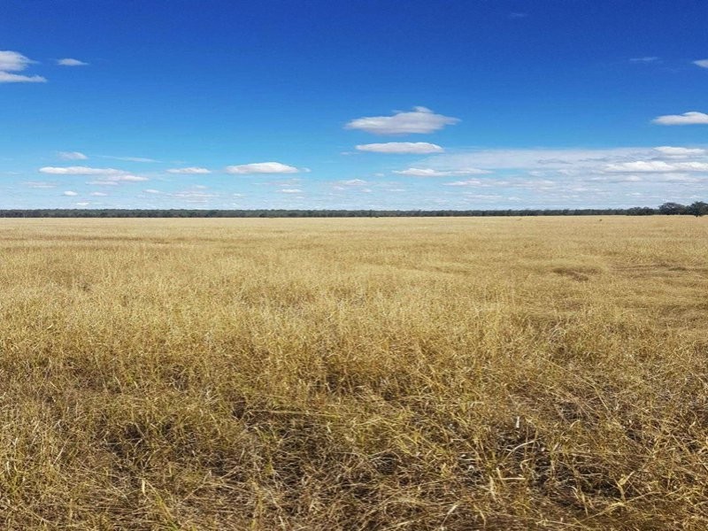 Goondiwindi QLD 4390