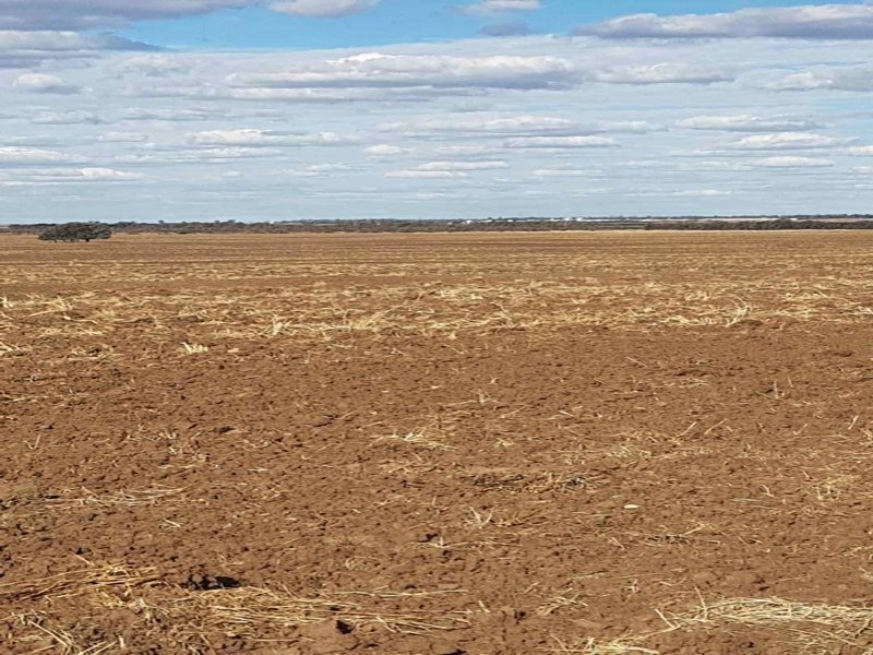 Goondiwindi QLD 4390