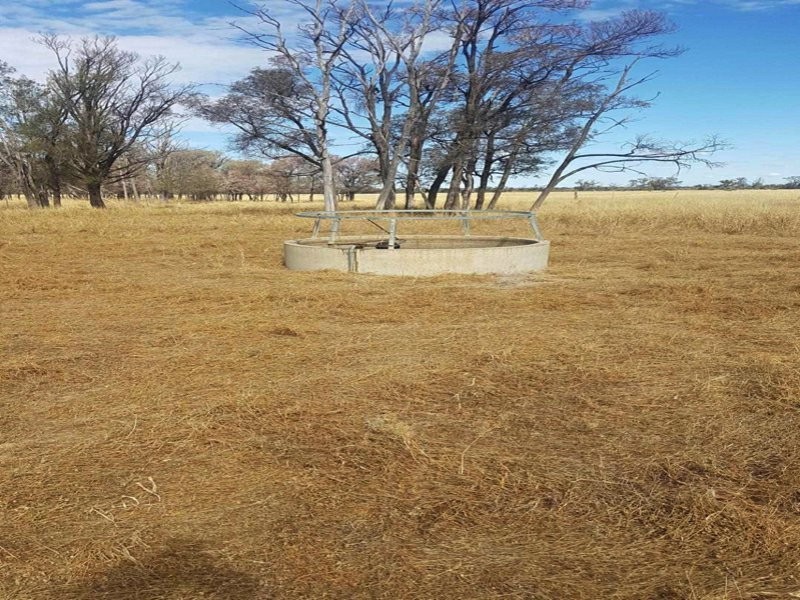 Goondiwindi QLD 4390