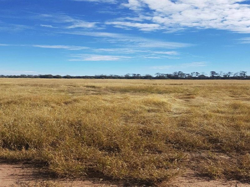 Goondiwindi QLD 4390