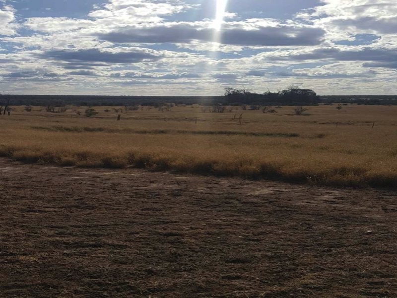 Goondiwindi QLD 4390