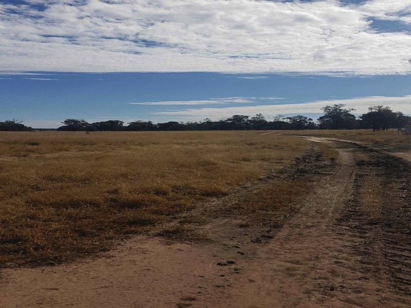 Goondiwindi QLD 4390