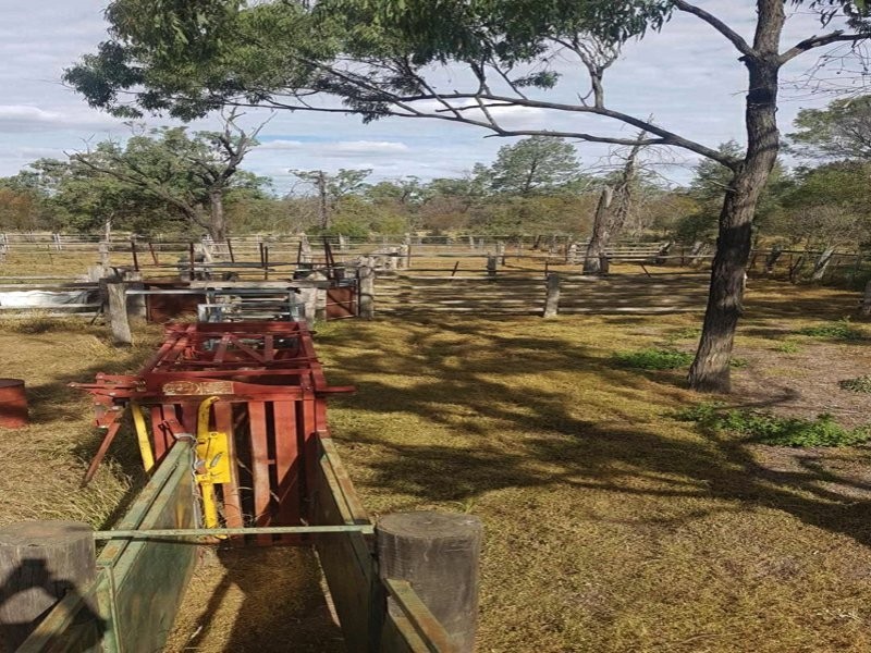 Goondiwindi QLD 4390