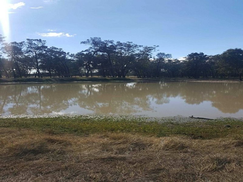 Goondiwindi QLD 4390