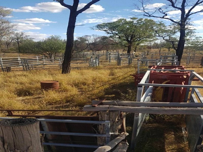 Goondiwindi QLD 4390