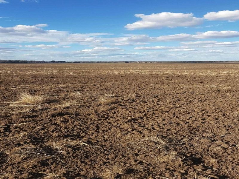 Goondiwindi QLD 4390