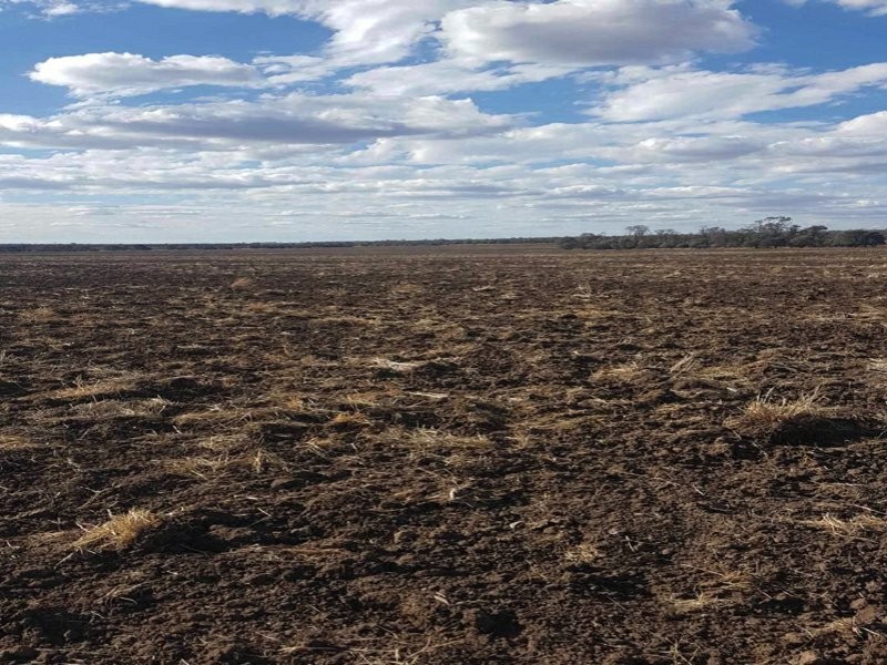 Goondiwindi QLD 4390