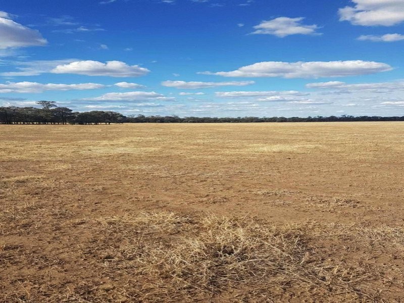 Goondiwindi QLD 4390