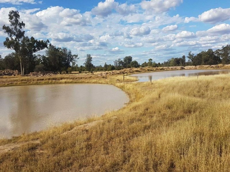 Goondiwindi QLD 4390