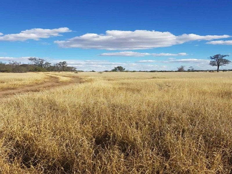 Goondiwindi QLD 4390