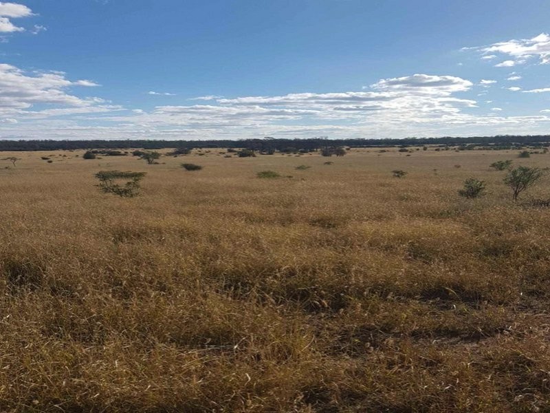 Goondiwindi QLD 4390