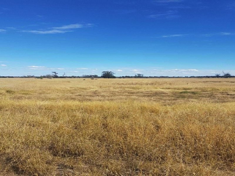 Goondiwindi QLD 4390