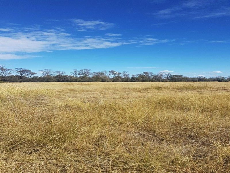 Goondiwindi QLD 4390