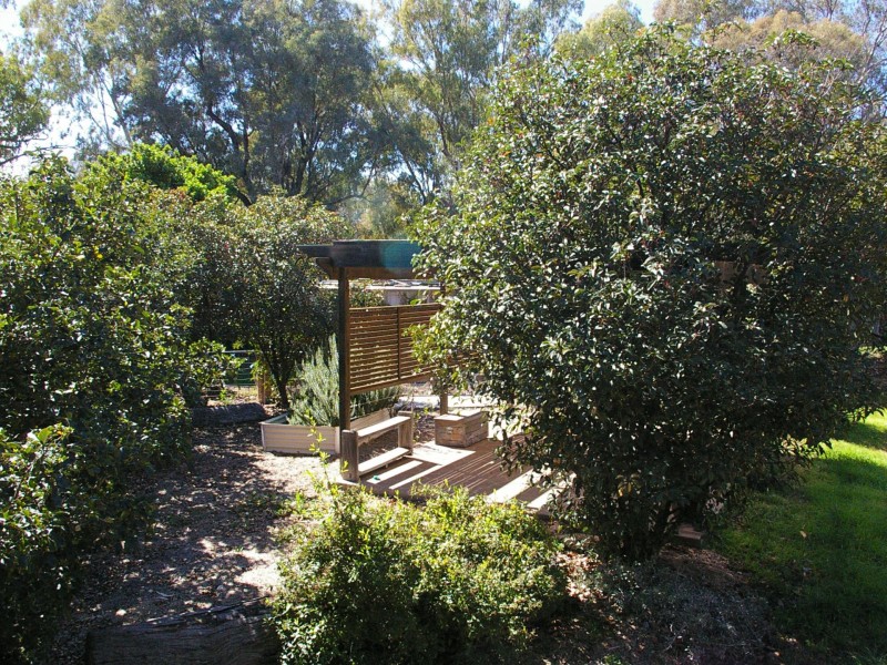 6 Blue Gums Drive, Goondiwindi QLD 4390