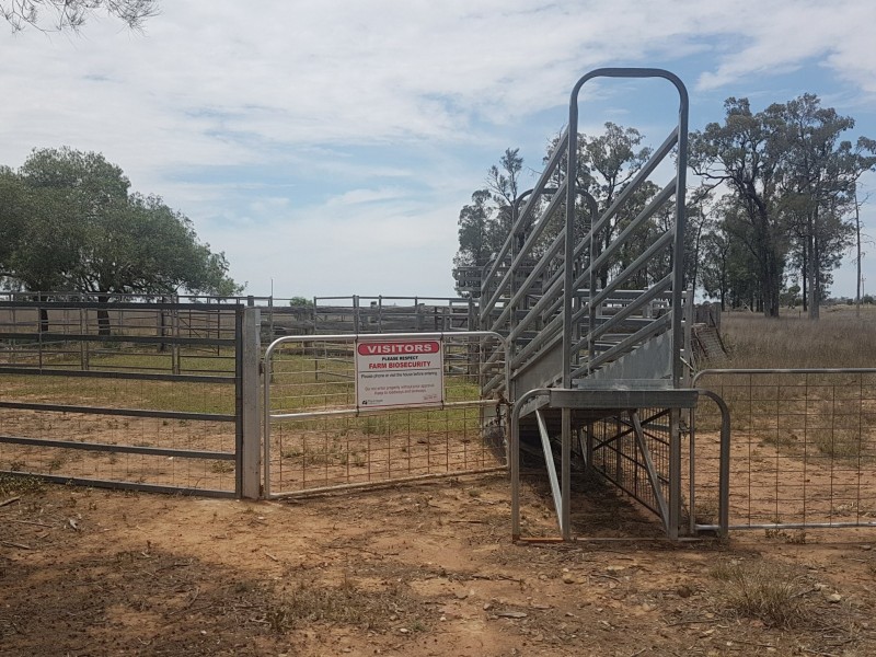 Goondiwindi QLD 4390