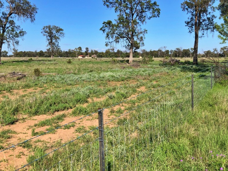 Goondiwindi QLD 4390