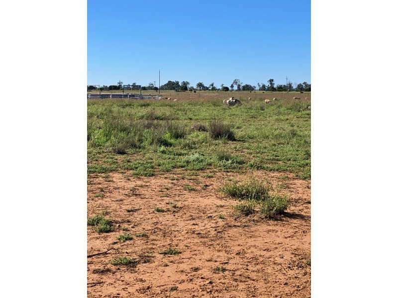 Goondiwindi QLD 4390