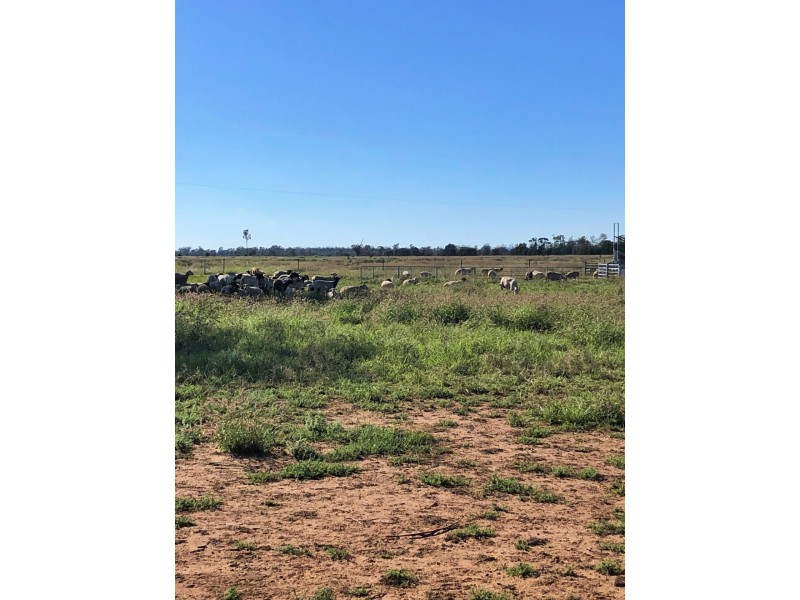 Goondiwindi QLD 4390