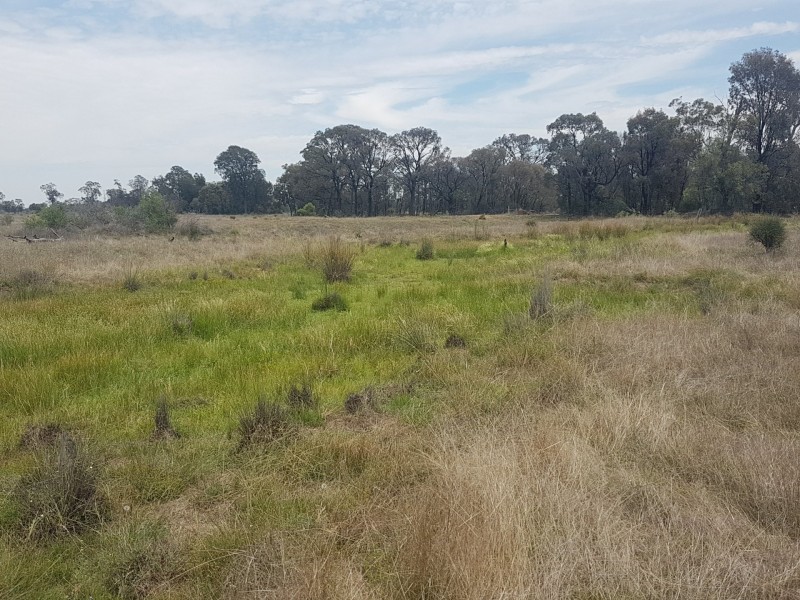 Goondiwindi QLD 4390