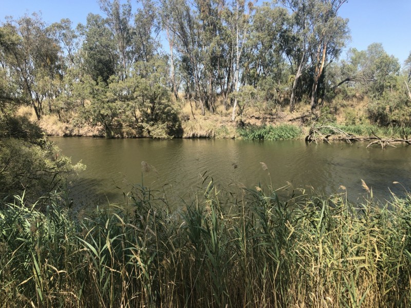 Goondiwindi QLD 4390