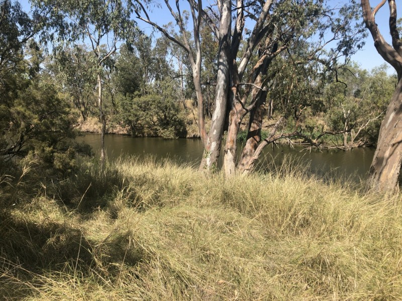 Goondiwindi QLD 4390