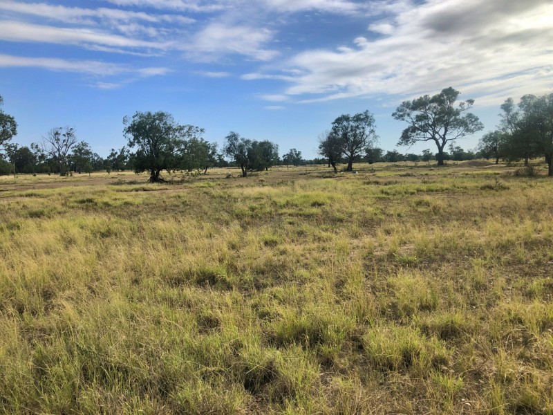 40 Jensens Rd, Goondiwindi QLD 4390